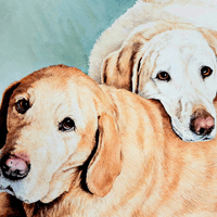 Karen Frampton, New Forest Artist, paintings, greeting cards, murals, slate, Hampshire, UK